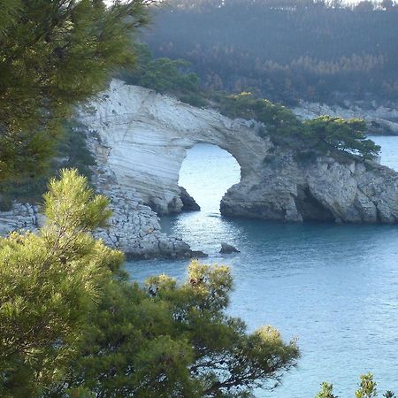 Uria Rooms & Suite B&B Vieste Dış mekan fotoğraf